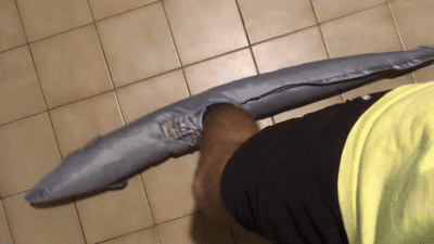 Eel shoe